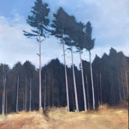 Clearing – woodland landscape giclée print featuring tall pine trees, blue sky and golden grasses