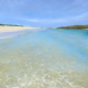 Ocean's Breath coastal painting featuring clear turquoise water, delicate ripples over pale sand, a sweeping white beach and an expansive blue sky.