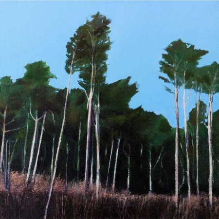 Reaching Stillness woodland painting featuring tall, slender trees with dark green foliage against a luminous blue sky, above a richly textured forest floor in purple and earthy tones.